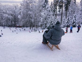 Rear view of man sitting on sled at snow covered field