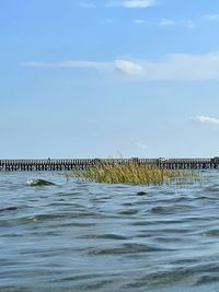 Wooden posts in sea against sky