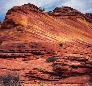 The wave arizona 