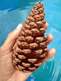 Close-up of hand holding bread