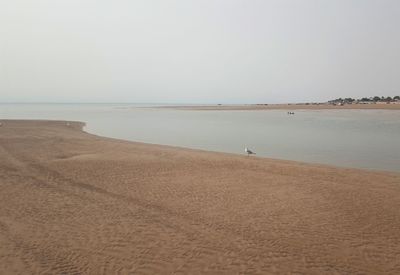 Scenic view of beach against clear sky