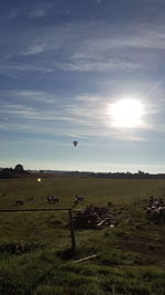 Scenic view of field against sky during sunset