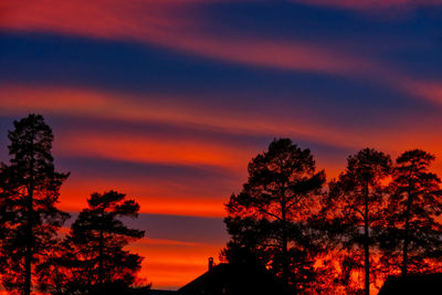 Low angle view of silhouette trees against orange sky