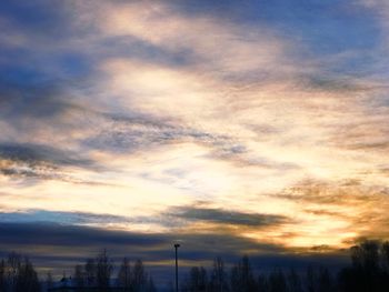 Low angle view of silhouette trees against sky at sunset