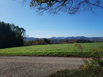 Scenic view of field against clear blue sky