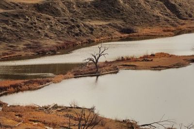 Scenic view of landscape