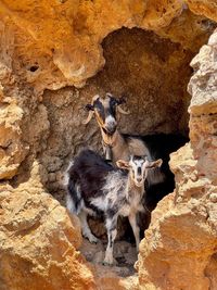 Full length of a rock