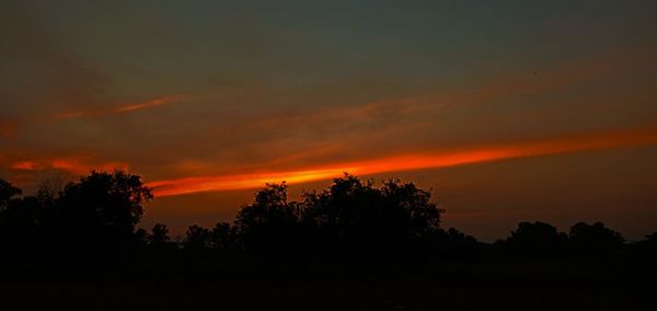 Silhouette trees against dramatic sky during sunset