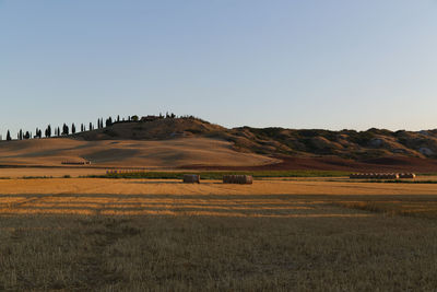 Scenic view of agricultural field against clear sky