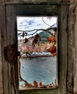 Close-up of water hanging from tree against sky