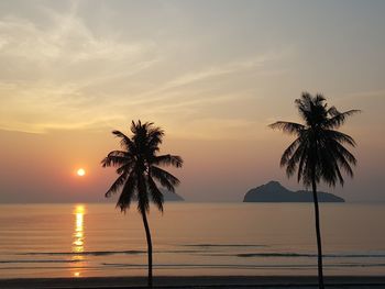 Silhouette palm trees by swimming pool against sky during sunset