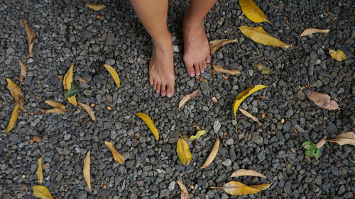 Low section of woman with yellow leaves