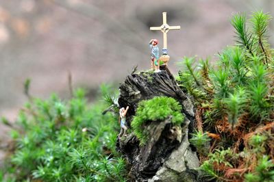Figurines and cross on wood amidst plants