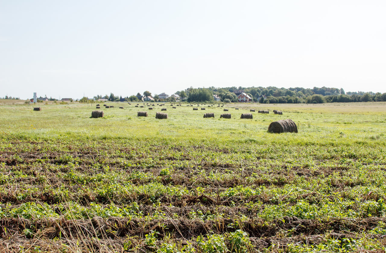 SCENIC VIEW OF FARM