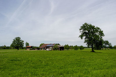 Trees and houses on field against sky