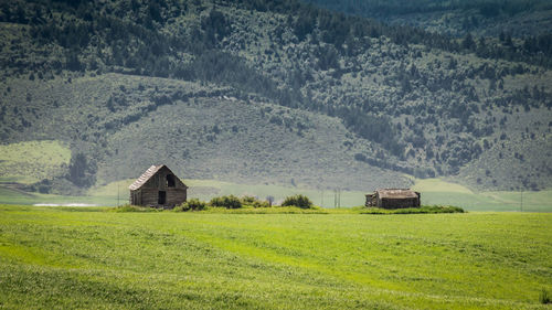 House on field by mountain