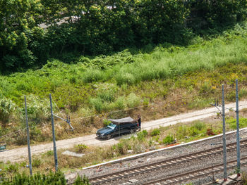 High angle view of road amidst trees