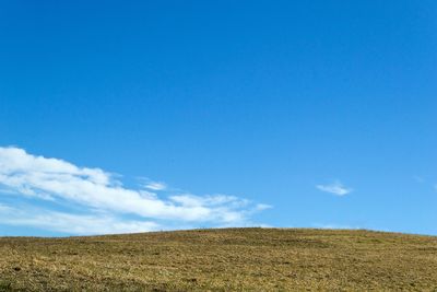 Scenic view of agricultural field against blue sky