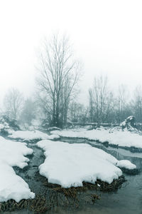 Bare trees on snow covered field against sky