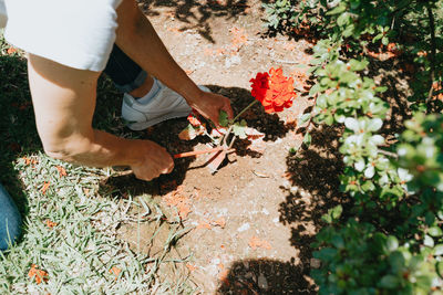 Low section of woman gardening