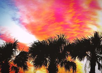 Low angle view of silhouette palm trees against romantic sky