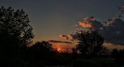 Silhouette trees against sky during sunset