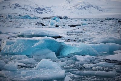 Close-up of glacier