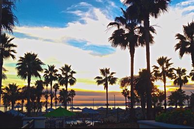 Palm trees on beach