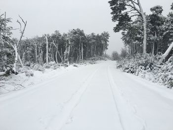 Road passing through snow covered landscape
