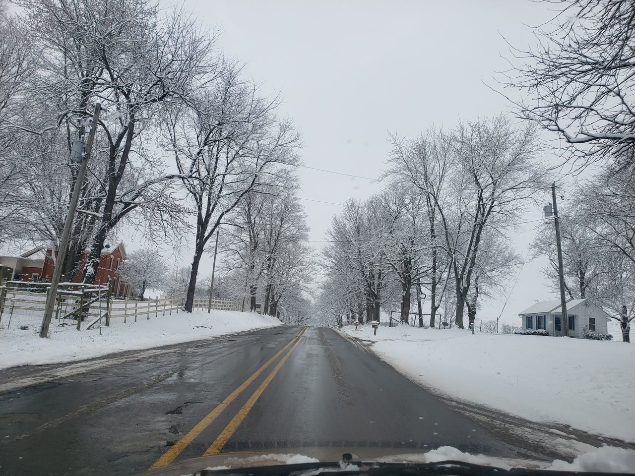 SNOW COVERED ROAD AMIDST BARE TREES