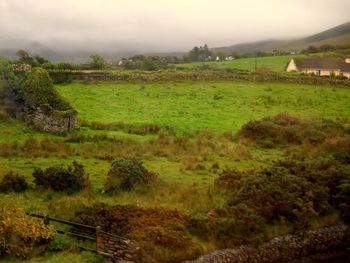 Scenic view of field against cloudy sky
