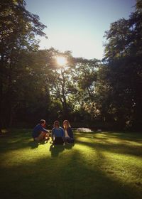 Trees on grassy field