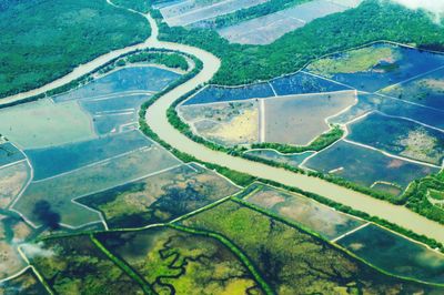 Aerial view of agricultural landscape