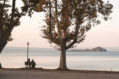 Tree by sea against sky during sunset