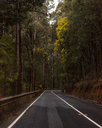 Empty road amidst trees in forest