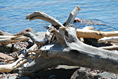 Close-up of weathered wall