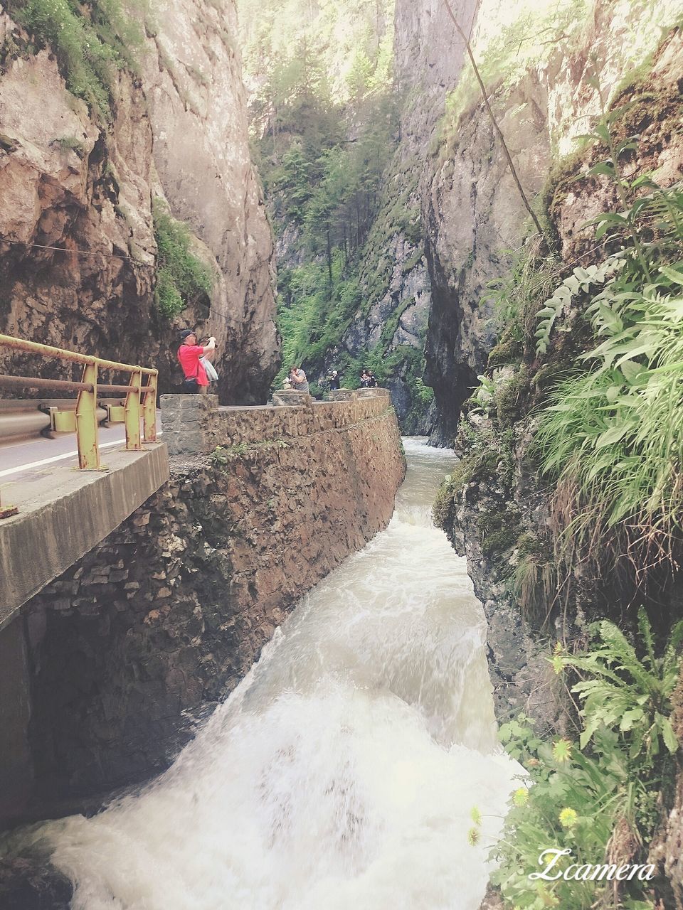 STREAM FLOWING BY RIVER