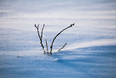 A beautiful, misty morning in the norwegian hills in winter. white, hazy landscape. 