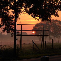 Silhouette trees on field against orange sky