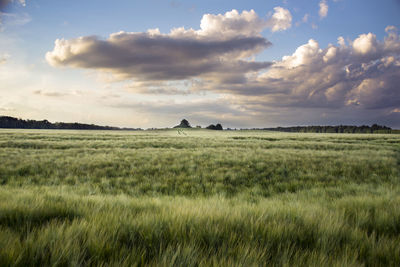 Scenic view of agricultural field against sky