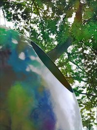 Close-up of tree against sky