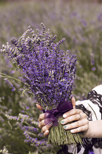 Close-up of person holding bouquet