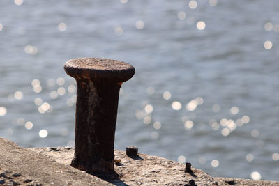 Close-up of wooden pole on shore