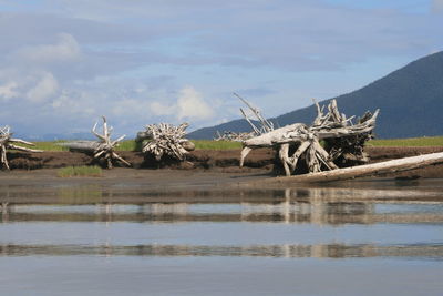 Traditional windmill in lake against sky