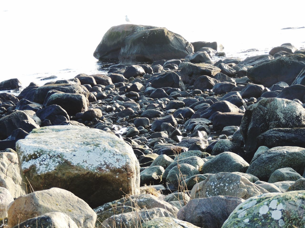 ROCKS ON BEACH