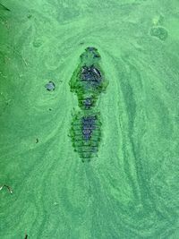 High angle view of water in sea