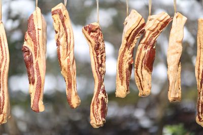 Close up of bacon against trees