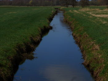 Scenic view of grassy field