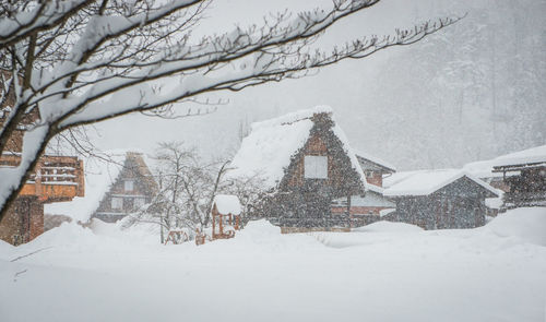 Bare trees on snow covered landscape