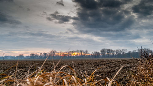Scenic view of agricultural field against cloudy sky